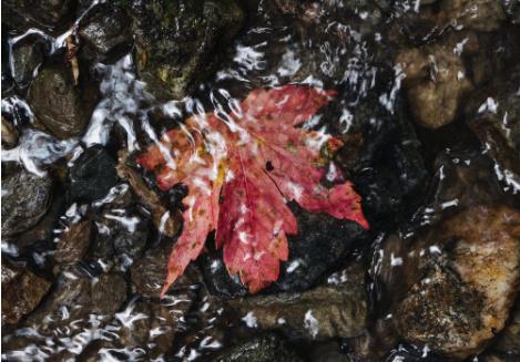 水質(zhì)在線(xiàn)監(jiān)測(cè)常見(jiàn)的水污染指標(biāo)有哪些？