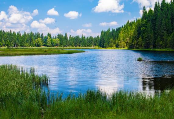 火電廠(chǎng)外排的高鹽廢水危害幾監(jiān)測(cè)問(wèn)題 火電廠(chǎng)外排的高鹽廢水危害幾監(jiān)測(cè)問(wèn)題