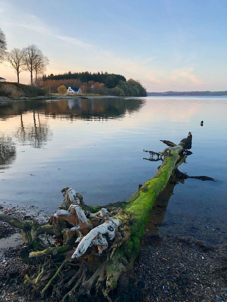 溶解氧分析儀 溶解氧分析儀